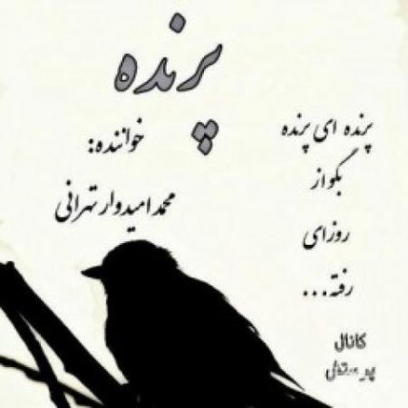 پرنده با صدای محمد امیدوار تهرانی